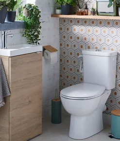 Grohe Pack WC à poser sans bride sortie horizontale