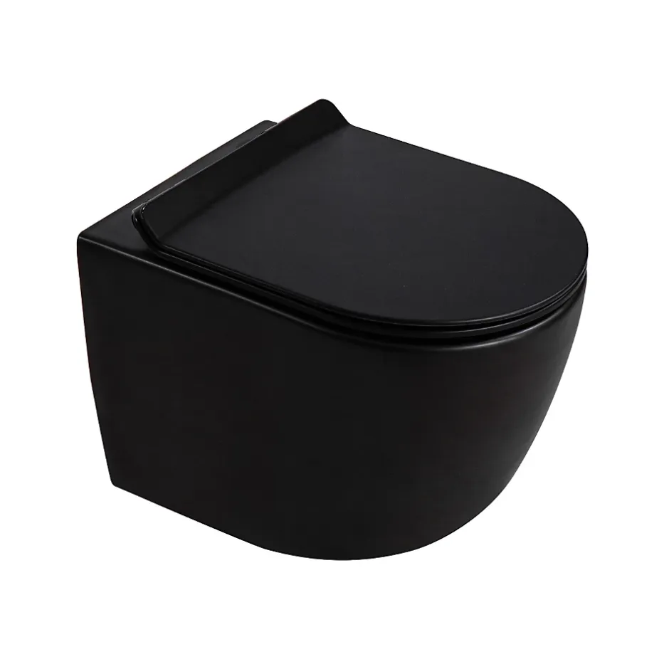 Swiss Aqua Technologies Pack WC bâti-support + WC suspendu sans bride Ceramia PixL avec abattant SoftClose + plaque (STCEPXBMT02-FR)* Wc Suspendu