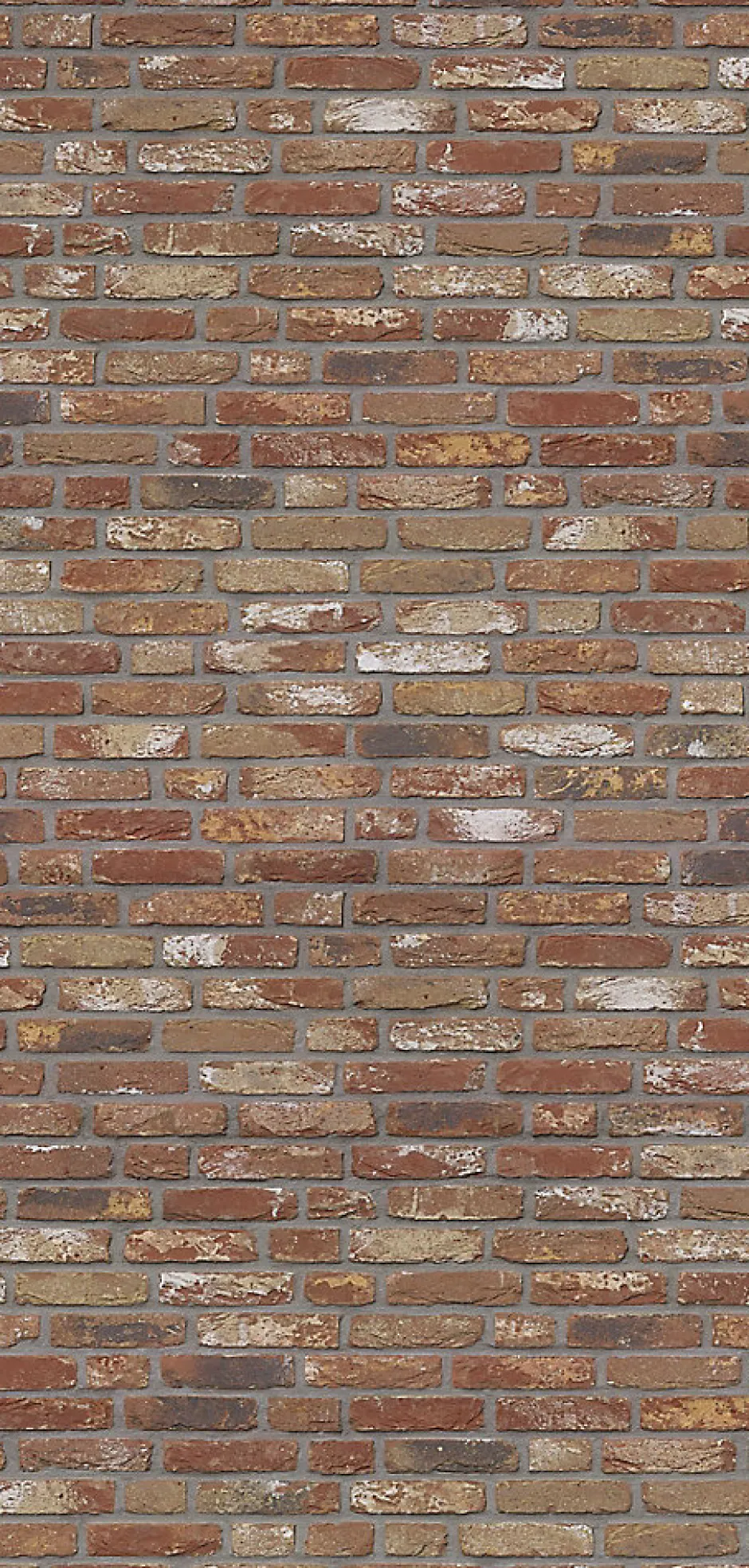 Schulte Panneau mural de salle de bains l.100 x H.210 cm, effet brique industrielle rouge, DécoDesign