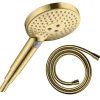 Hansgrohe Pommeau de douche Raindance Select S EcoSmart 120 3 jets + flexible 1,60 m Isiflex aspect doré poli* Pommeau De Douche, Flexible Et Barre De Douche