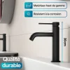 Dileci Robinet à bec court pour salle de bain couleur noir mat -* Robinet Lave-Mains