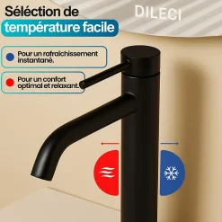 Dileci Robinet à bec court pour salle de bain couleur noir mat -* Robinet Lave-Mains