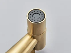 Signature Robinet bidet Doré en Acier Inox Murale Trou Unique* Robinet De Bidet