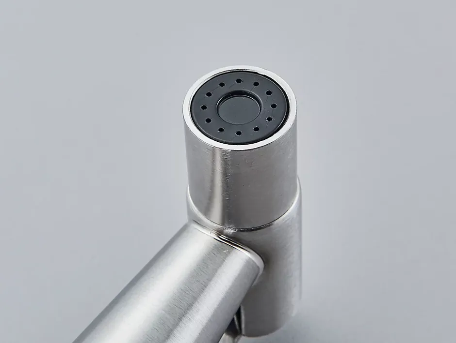 Signature Robinet bidet en Acier Inox Murale Trou Unique* Robinet De Bidet