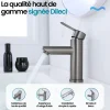Dileci Robinet compact pour salle de bain couleur gris métallisé -