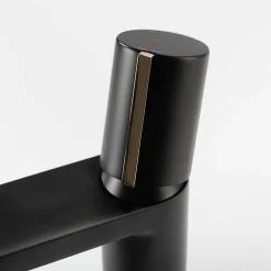 Rea Robinet de lavabo Icon black low* Robinet Lave-Mains