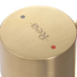 Rea Robinet de lavabo Tess brush gold high