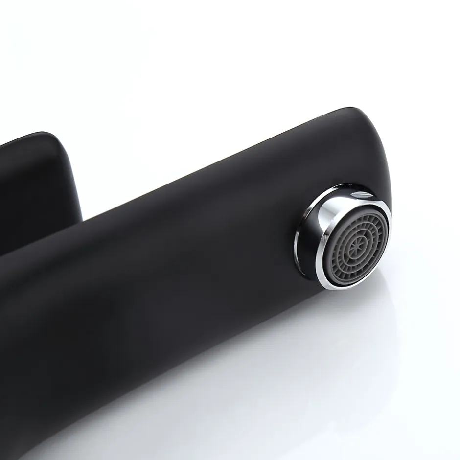 Bernstein Robinet mitigeur pour lavabo 4024CB - noir mat