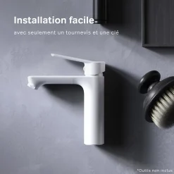 Am.Pm Europe Robinet Salle de Bain Mitigeur de lavabo avec bonde clic clac, Blanc, taille S, FTA82133 AM.PM