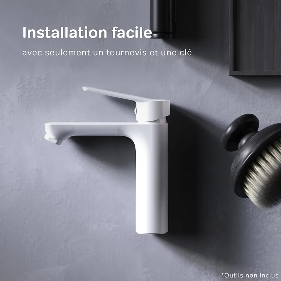 Am.Pm Europe Robinet Salle de Bain Mitigeur lavabo, Blanc, taille S, FTA02133 AM.PM