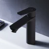 Am.Pm Europe Robinet Salle de Bain Mitigeur lavabo, Noir, taille M, FTA02122 AM.PM* Robinet Lavabo Et Vasque