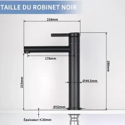 Homelody Robinet Salle de Bain Noir Mitigeur pour Vasque Haut Bec Pivotant Robinetterie de Lavabo en Acier Inox Design Moderne* Robinet Lavabo Et Vasque