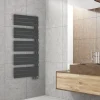 Deltacalor Sèche-serviettes électrique asymétrique 750W anthracite 7.5m²* Sèche-Serviettes Électrique