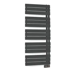 Deltacalor Sèche-serviettes électrique asymétrique 750W anthracite 7.5m²* Sèche-Serviettes Électrique