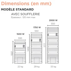 Thermor Sèche-serviettes Riviera 2 avec soufflerie 2000W gris menhir - - 498621