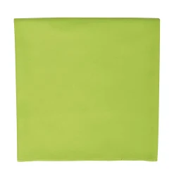 Sols - Serviette ATOLL Vert pomme (Taille unique)