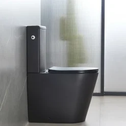 Swiss Aqua Technologies Brevis WC à poser sans bride + abattant softclose, noir mat (SATBRE031RREXVPBKM)