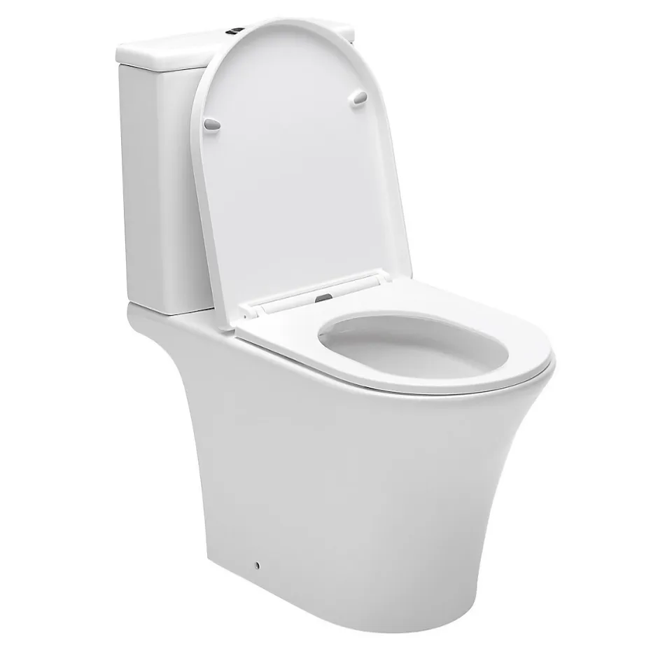 Polysan Swiss Aqua Technologies Combi WC à poser sans bride, avec abattant softclose - remplissage par le bas (SATBRE030RREXVP)