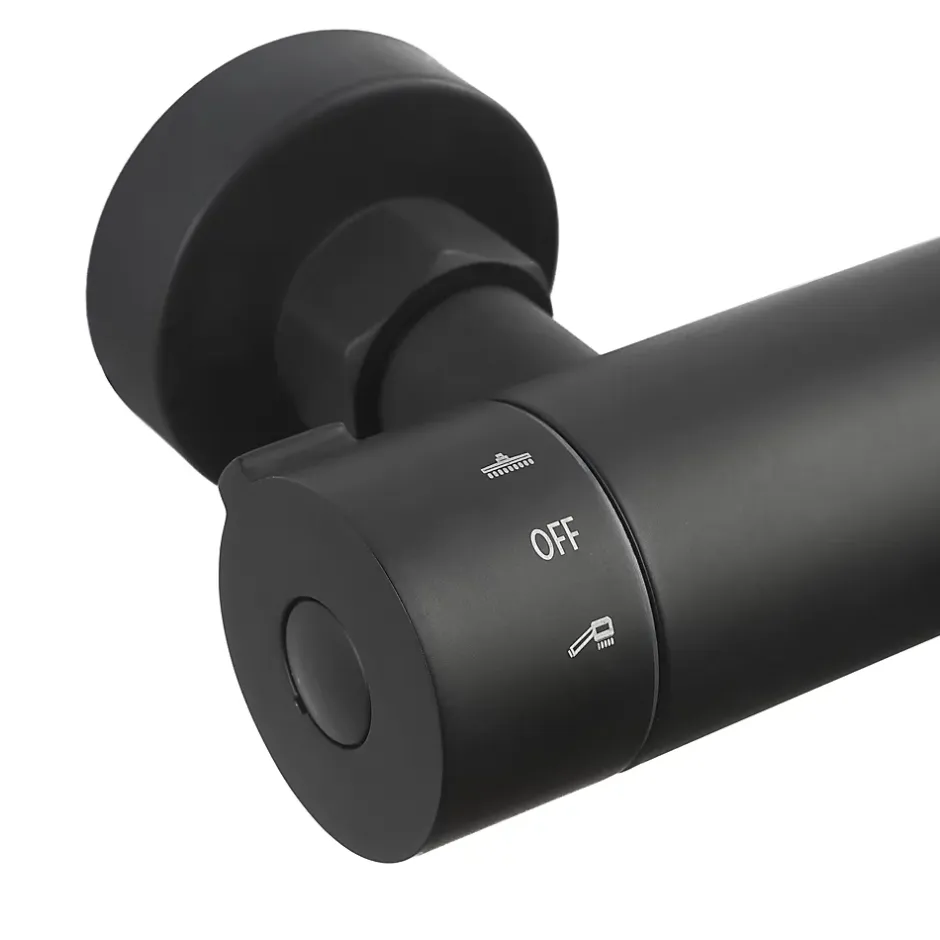 Hansgrohe Swiss Aqua Technologies Colonne de douche XXL 250 avec mitigeur thermostatique, Douchette 3 jets, noir mat (SATSSTKEC)