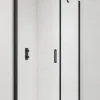 Swiss Aqua Technologies Fusion ensemble porte pivotante /paroi 100x80cm anticalcaire avec profilés noir mat (SATFUD100S80C)