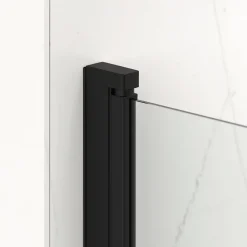 Swiss Aqua Technologies Fusion ensemble porte pivotante /paroi 100x80cm anticalcaire avec profilés noir mat (SATFUD100S80C)