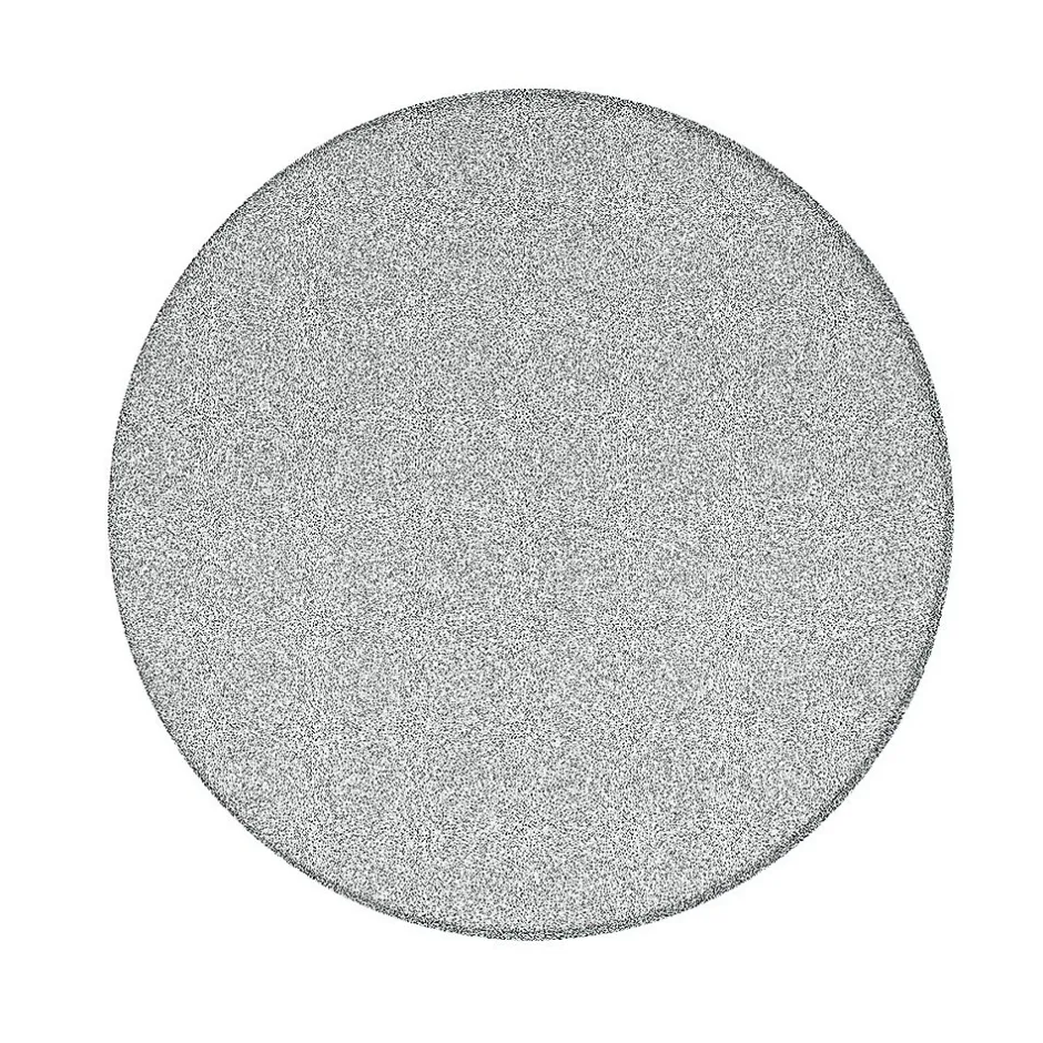 Swiss Aqua Technologies Pierre de ponçage de rechange pour douchette pédicure, grain fin (SATWTSSF80)* Pommeau De Douche, Flexible Et Barre De Douche