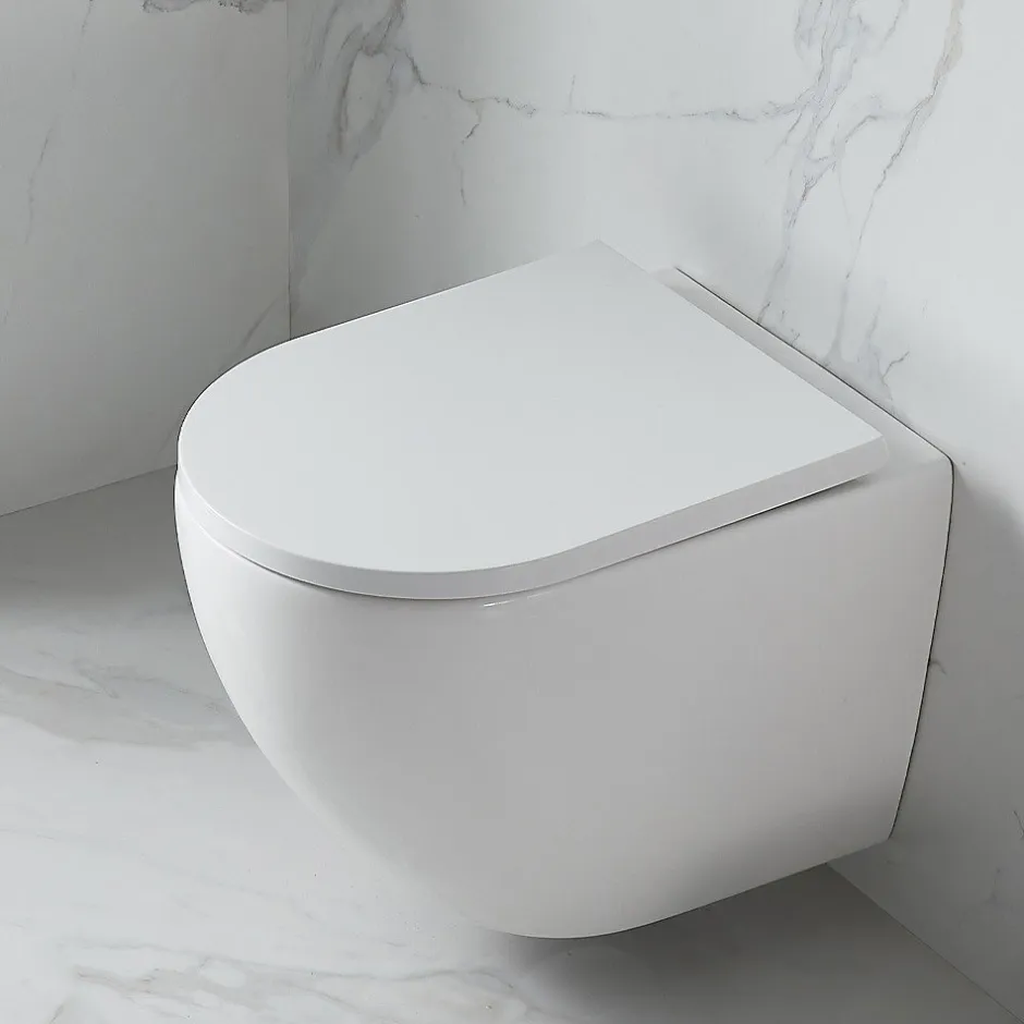Swiss Aqua Technologies WC suspendu sans bride Tornado Quiet et fixations invisibles, abattant frein de chute (SAT67010RTORP)