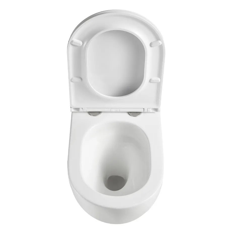 Swiss Aqua Technologies WC suspendu sans bride Tornado Quiet et fixations invisibles, abattant frein de chute (SAT67010RTORP)