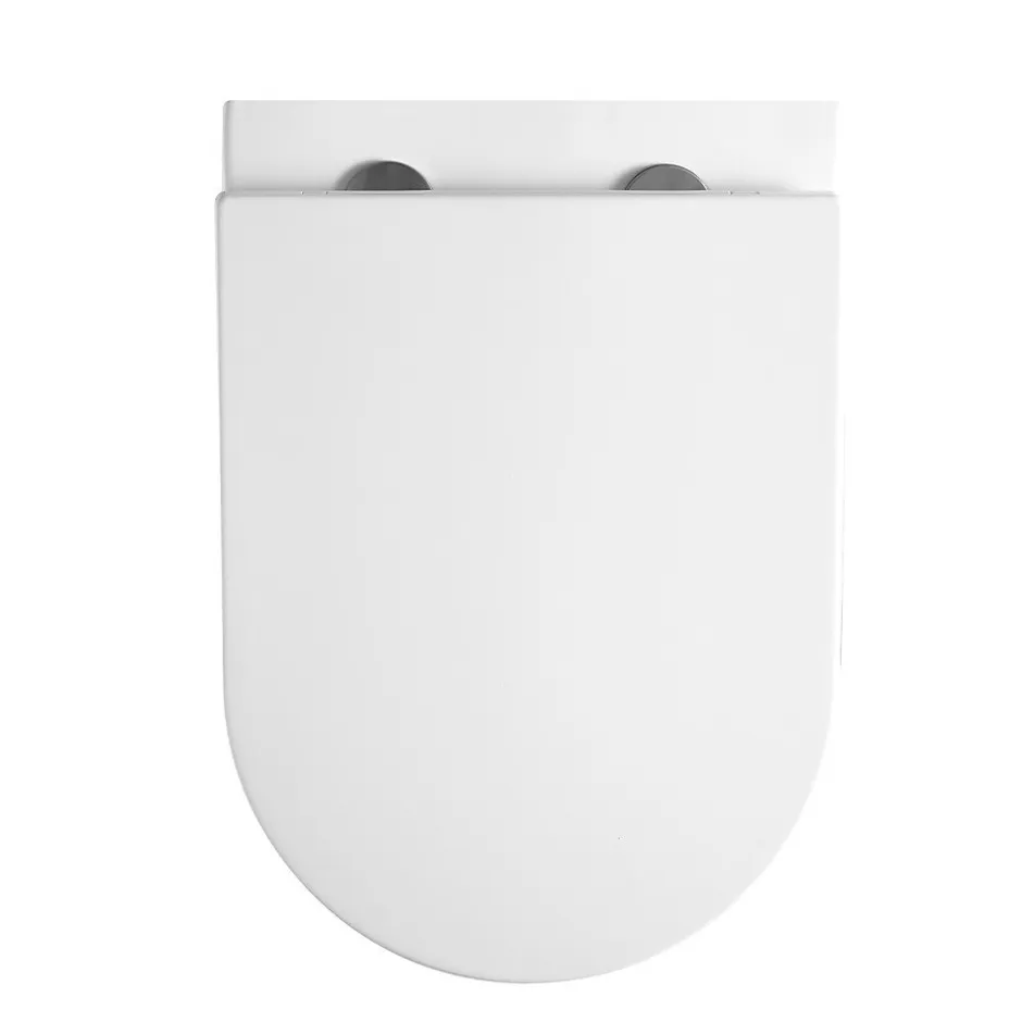 Swiss Aqua Technologies WC suspendu sans bride Tornado Quiet et fixations invisibles, abattant frein de chute (SAT67010RTORP)