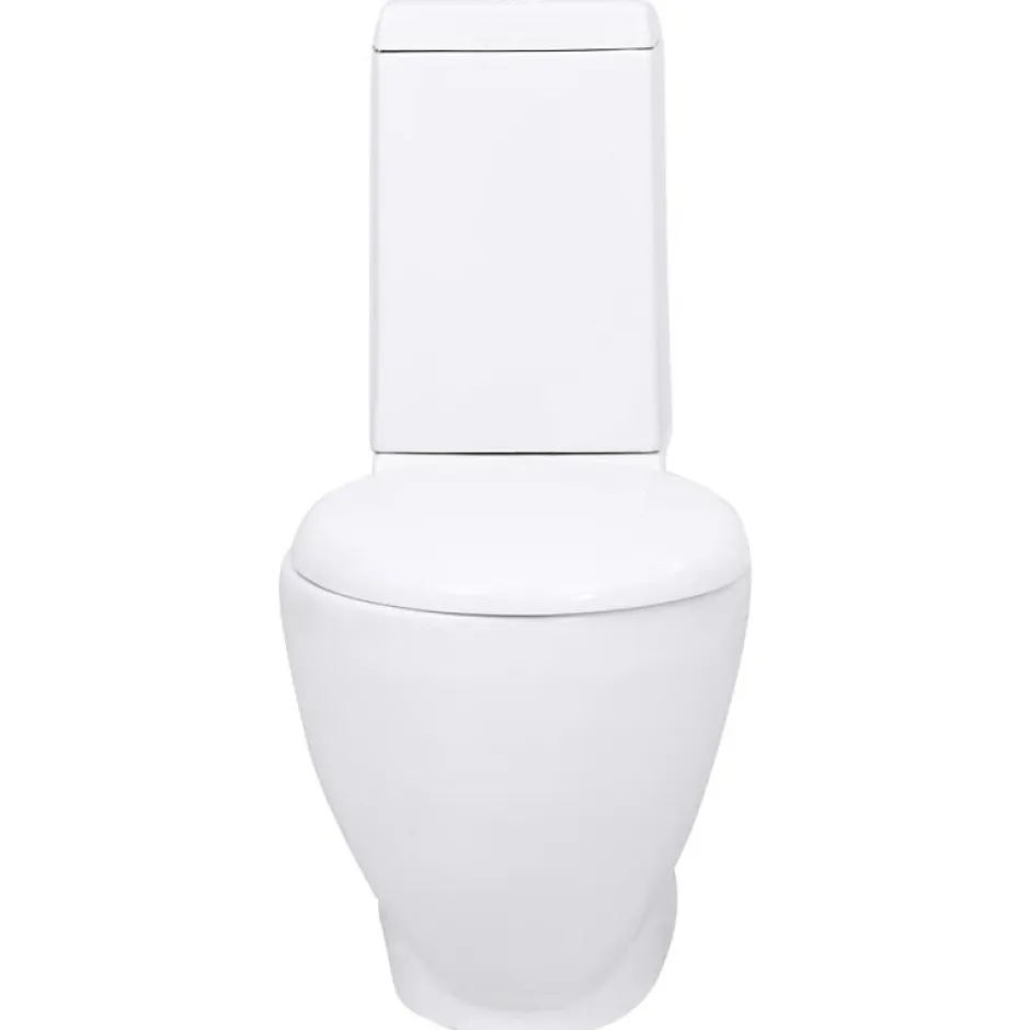 Vidaxl Toilette en céramique écoulement d eau à l arrière blanc* Wc À Poser