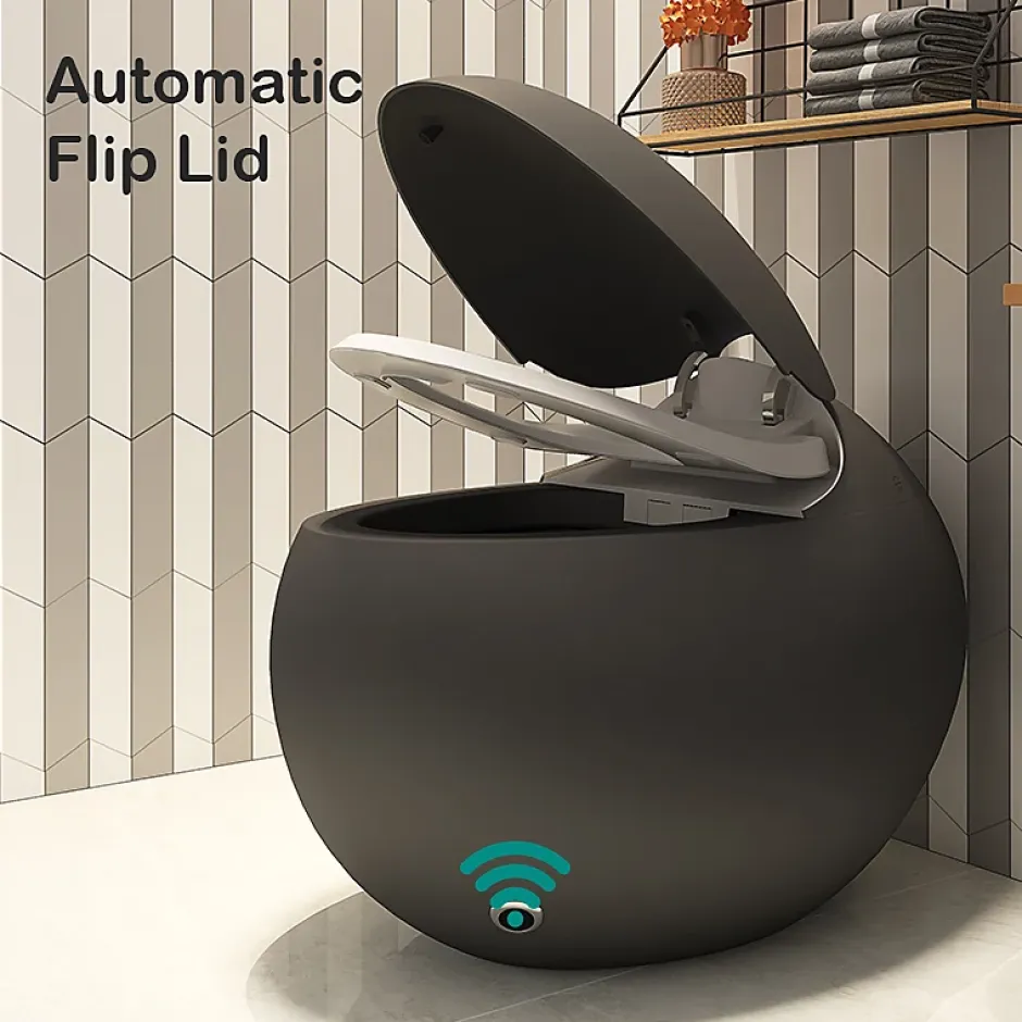 Japan Wc Toilette japonaise moderne Kirei noir