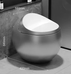 Japan Wc Toilette japonaise moderne Hoshi