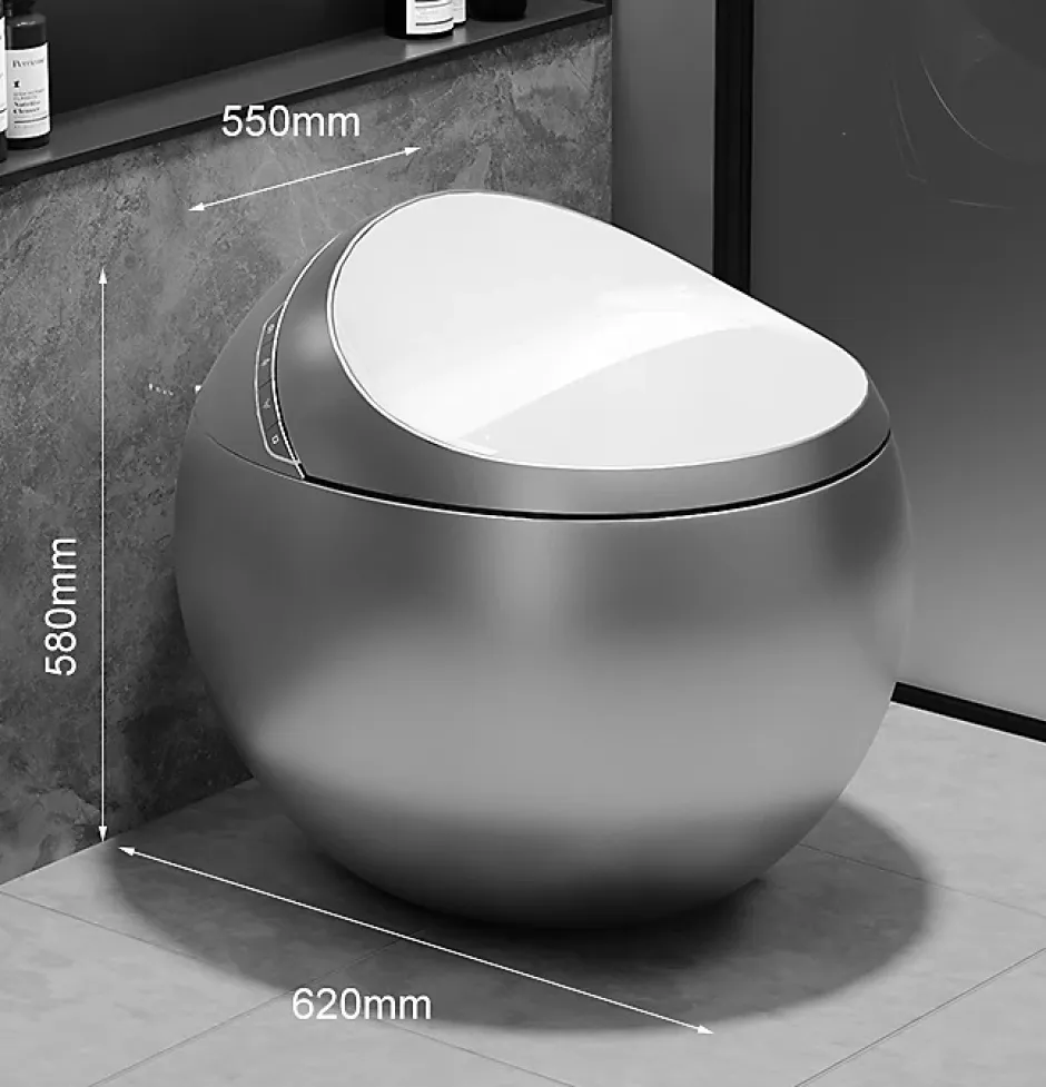 Japan Wc Toilette japonaise moderne Hoshi