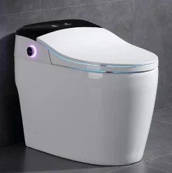 Japan Wc Toilette japonaise moderne Daimyo