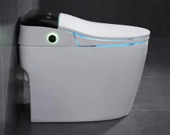 Japan Wc Toilette japonaise moderne Daimyo