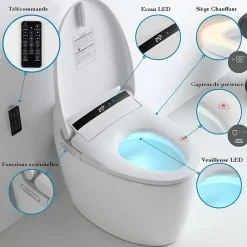 Japan Wc Toilette japonaise moderne Daimyo