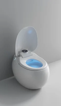 Japan Wc Toilette japonaise moderne Dojo
