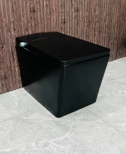 Japan Wc Toilette japonaise moderne Shinobi