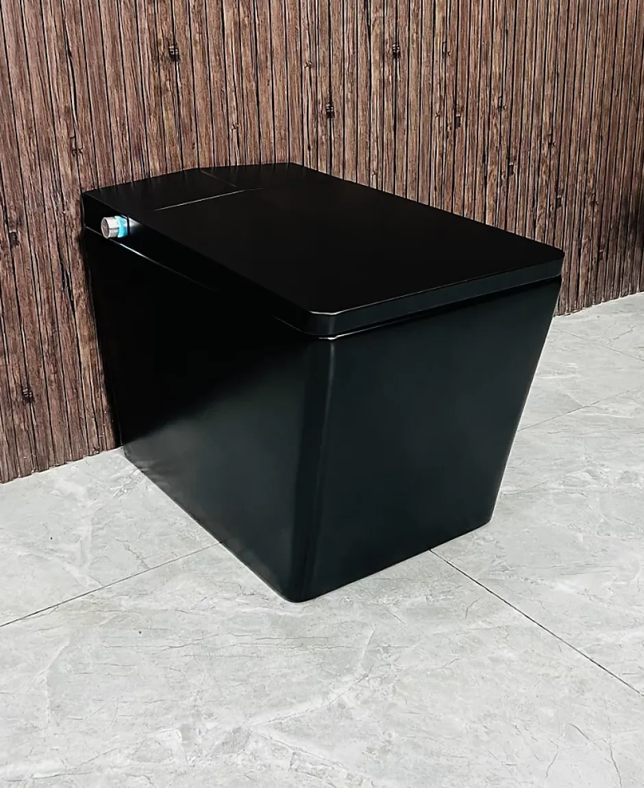 Japan Wc Toilette japonaise moderne Shinobi