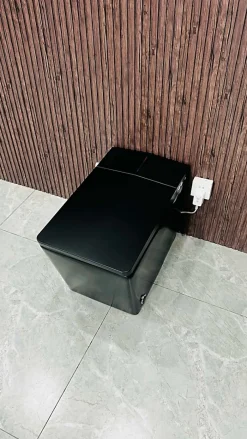 Japan Wc Toilette japonaise moderne Shinobi