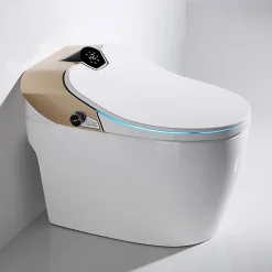 Japan Wc Toilette japonaise moderne Samourai* Wc Japonais