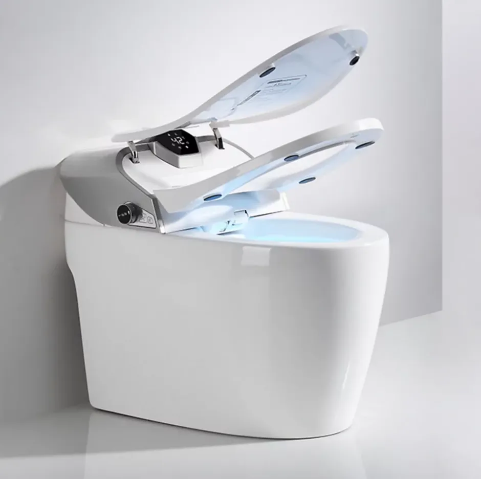 Japan Wc Toilette japonaise moderne Samourai* Wc Japonais