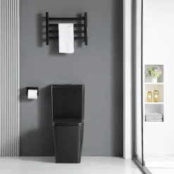 Stano Toilette WC à poser BRAGADO en ceramique noir mat* Wc À Poser