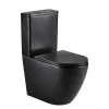 Aquore Toilette WC à poser GENOVA en ceramique noir mat
