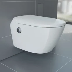 Bernstein Toilettes Japonaises céramique WC lavant suspendu, Télécommande, siège chauffant, Filtre, Séchoir - 59,5x42,5x43cm - T640PRO* Wc Japonais