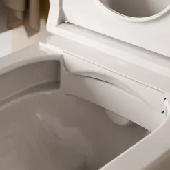 Duravit Toilettes Japonaises, WC japonais suspendu, WC lavant LED + Télécommande, siège chauffant, anti-tartre - 58x37,5x40,5cm - Soleil