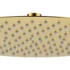 Edouard Rousseau Tête de douche ronde Ø30 cm, doré brossé,* Pommeau De Douche, Flexible Et Barre De Douche