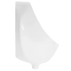 ECD Germany Urinoir avec Entrée d'Eau par l'Arrière, Drainage à l'Arrière, 35x42x30 cm, Céramique Blanc, Moderne, Rond* Urinoir