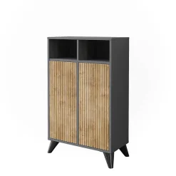 Vicco Armoire Midischrank Anthracite/Chêne de montagne 60x97cm avec 2 portes