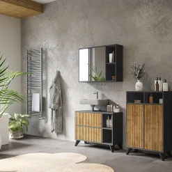 Vicco Armoire Midischrank Anthracite/Chêne de montagne 60x97cm avec 2 portes